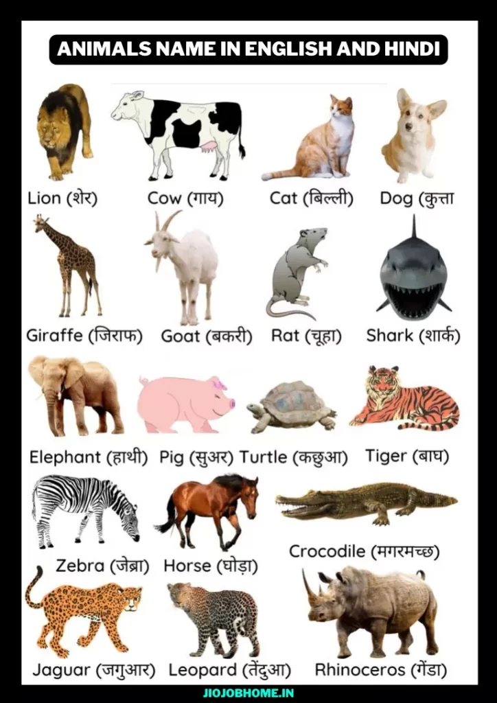 Animals Name in English and Hindi – जानवरों के नाम अंग्रेजी व हिंदी में