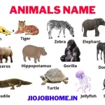 Animals Name in Hindi and English with Pictures – List of Animals Names