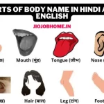 Parts of body name in Hindi and English with Pictures